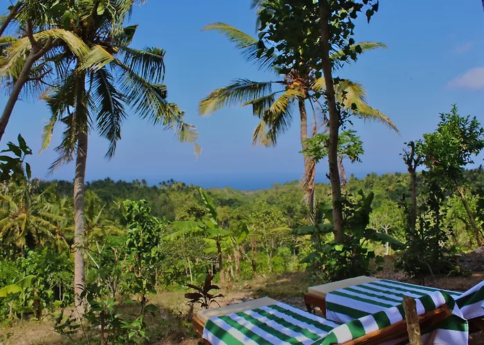 Atuh Forest