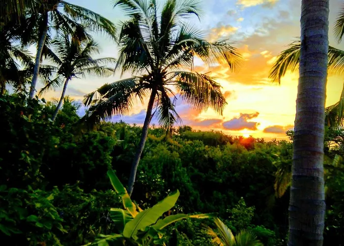 Pensión Atuh Forest 4*